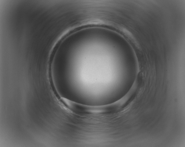 X0000070241326200606021120