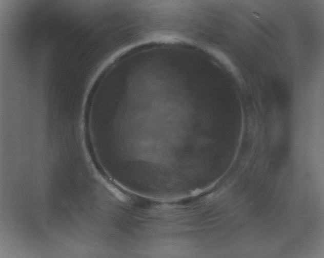 X0000070241327200606021120