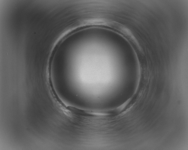 X0000070241328200606021120