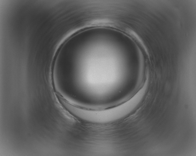 X0000070241336200606021120