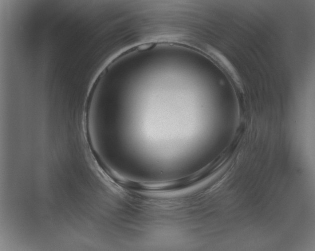 X0000070241340200606021120