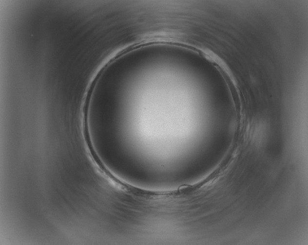 X0000070241341200606021120