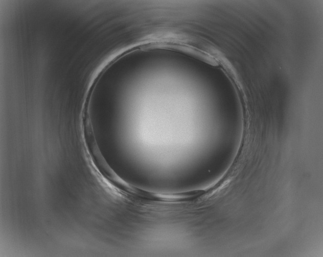 X0000070241344200606021120