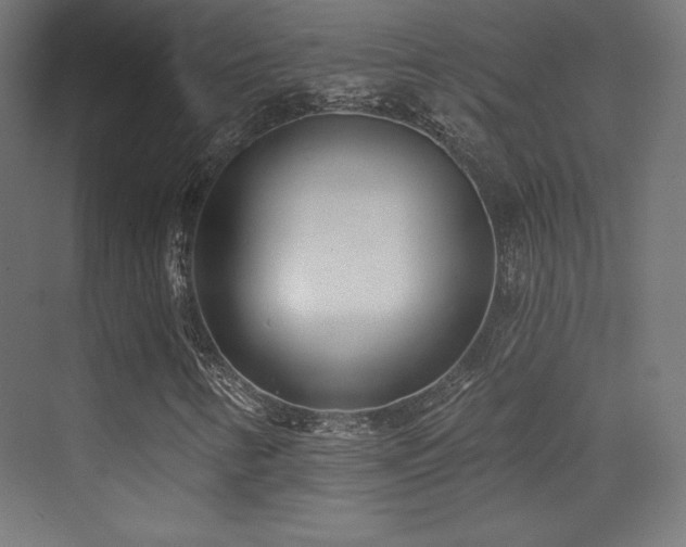 X0000070241346200606021119