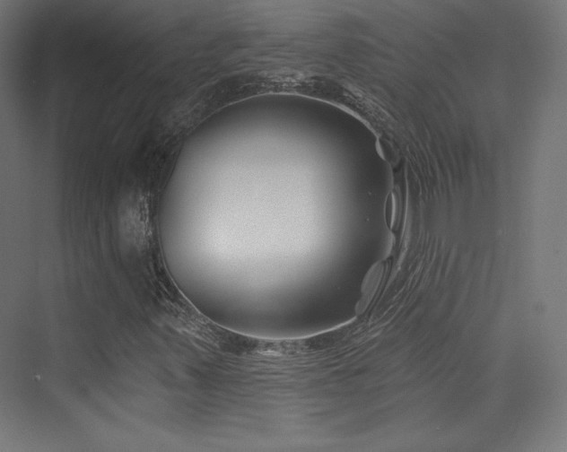 X0000070241347200606021119