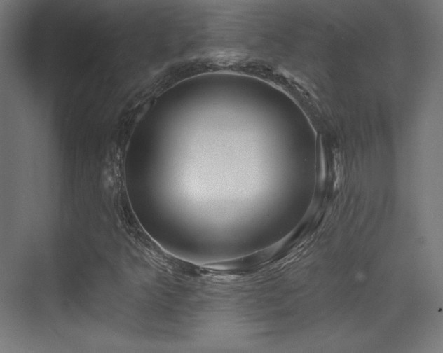 X0000070241349200606021119