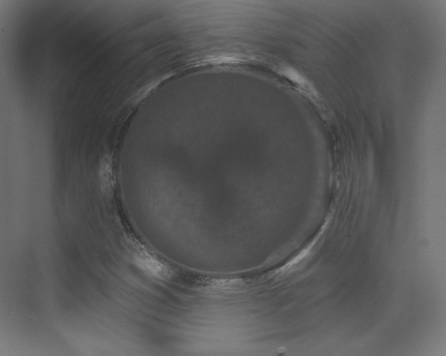 X0000070241353200606021119