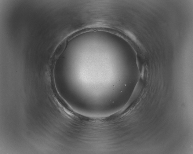 X0000070241356200606021119