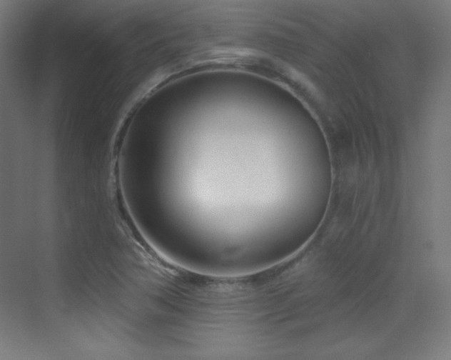 X0000070241362200606021119
