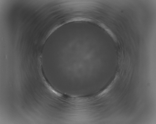 X0000070241369200606021119