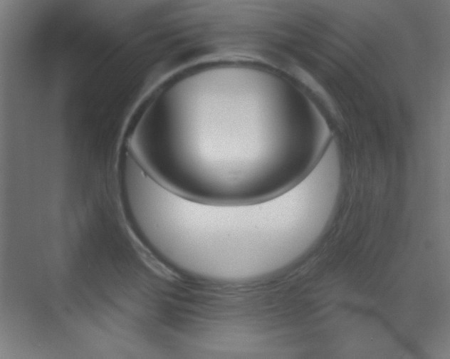 X0000070241372200606021119