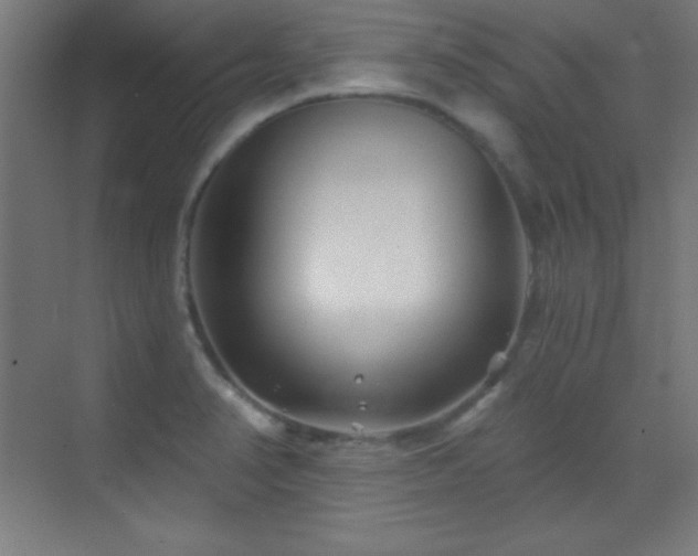 X0000070241374200606021119