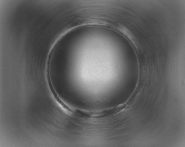 X0000070241379200606021119
