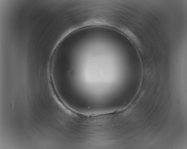 X0000070241382200606021119