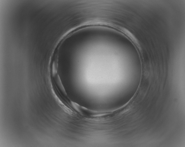 X0000070241388200606021119