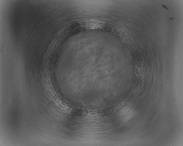 X0000070241393200606021118