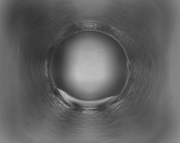 X0000070241394200606021118