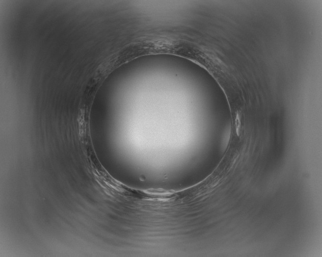 X0000070241395200606021118