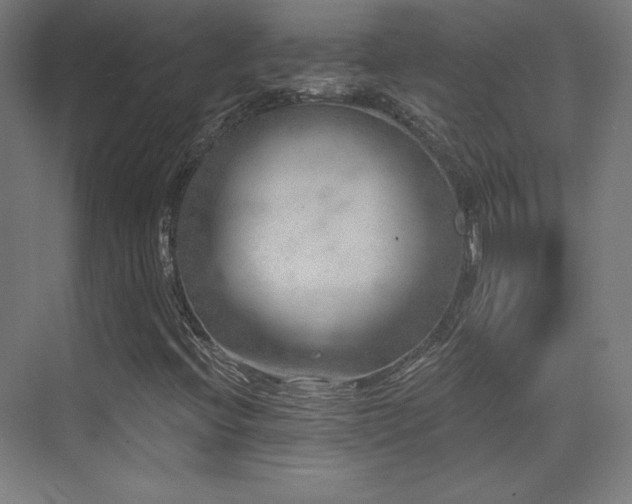 X0000070241396200606021118
