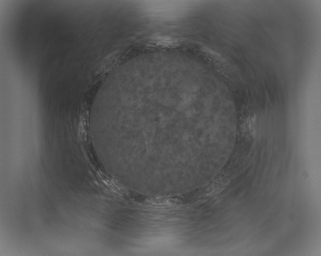 X0000070241397200606021118