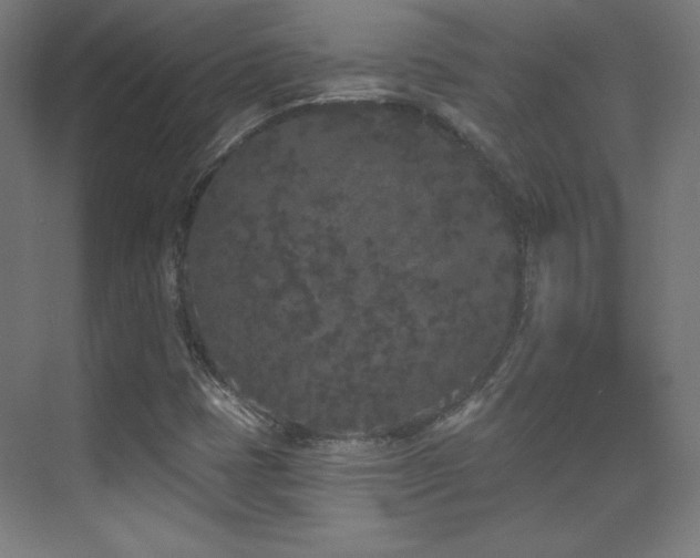X0000070241401200606021118
