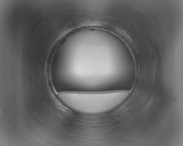 X0000070241404200606021118