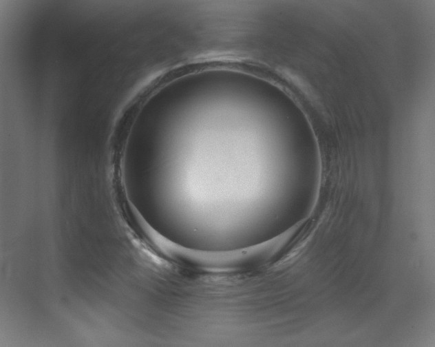 X0000070241406200606021118