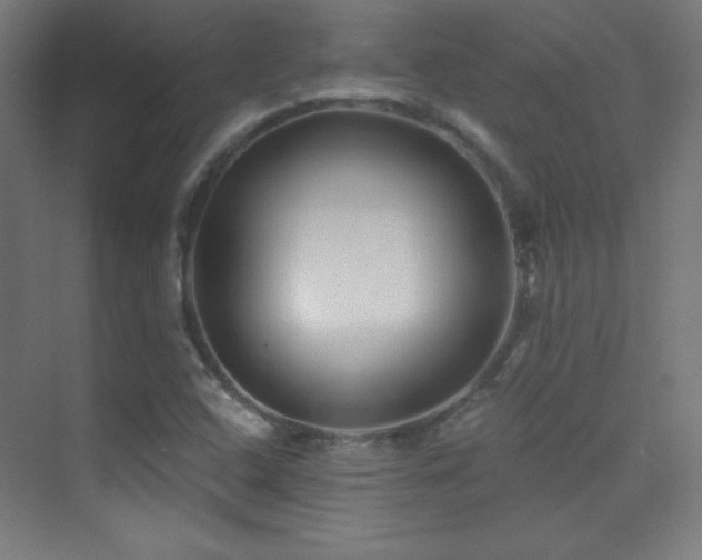 X0000070241408200606021118
