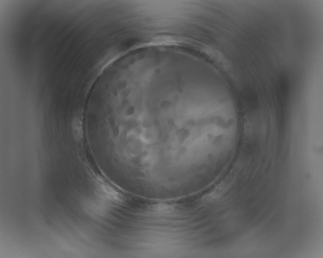 X0000070241409200606021118