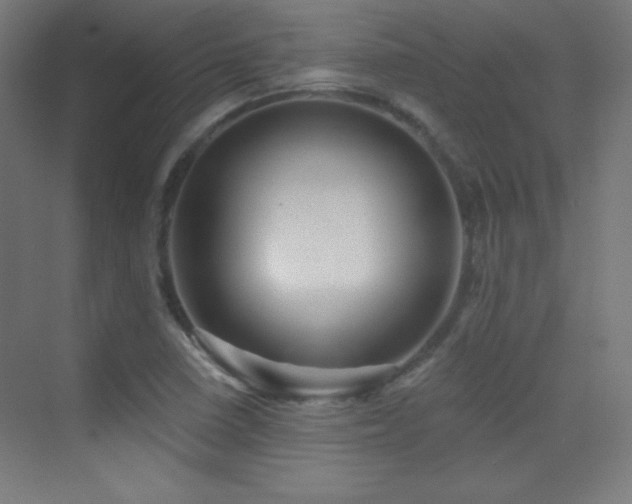 X0000070241410200606021118