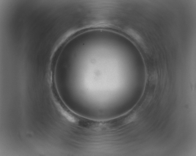 X0000070241414200606021118