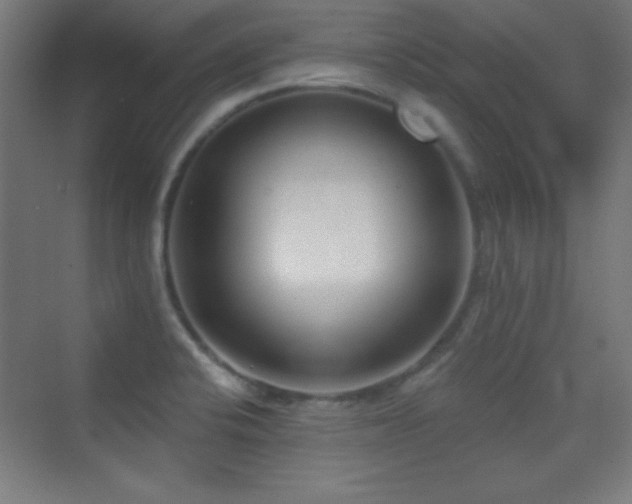 X0000070241424200606021118