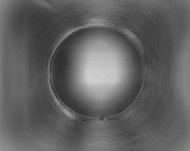 X0000070241431200606021118