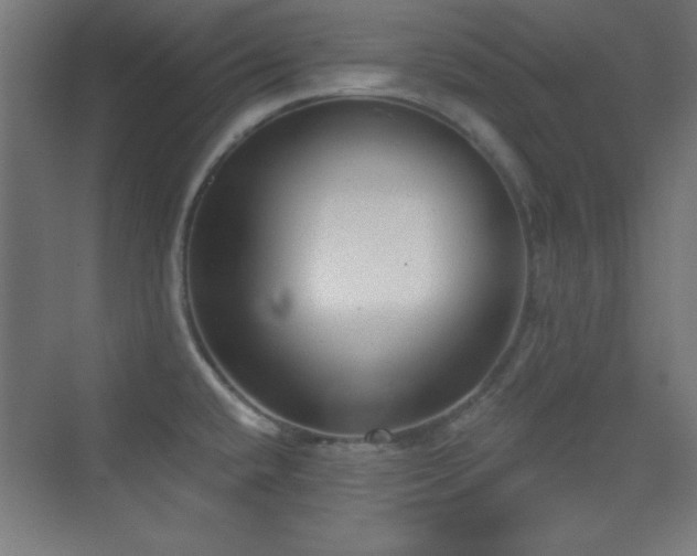 X0000070241432200606021118