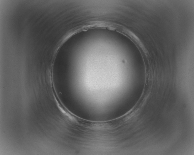 X0000070241433200606021118