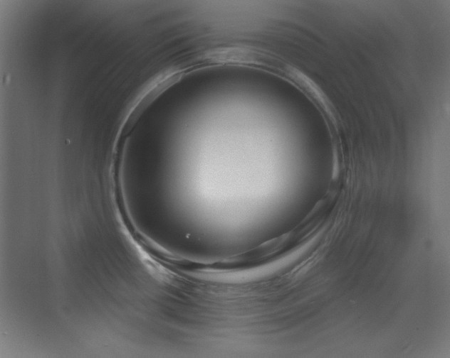 X0000070241434200606021118