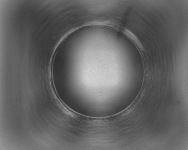 X0000070241436200606021118
