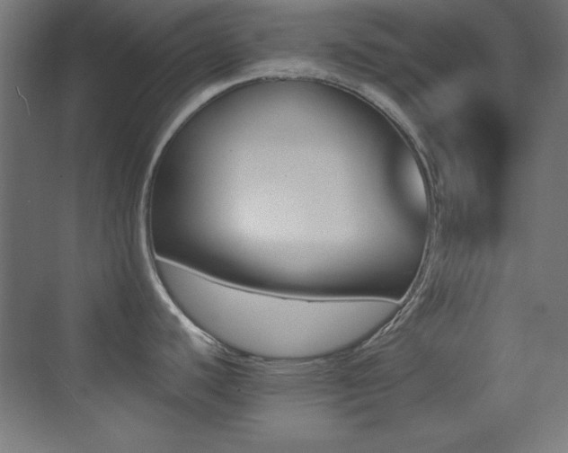 X0000070241440200606021118