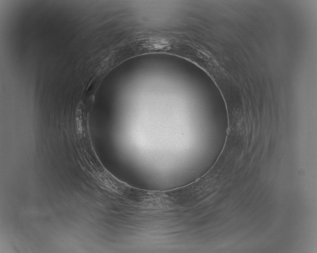 X0000070241442200606021118