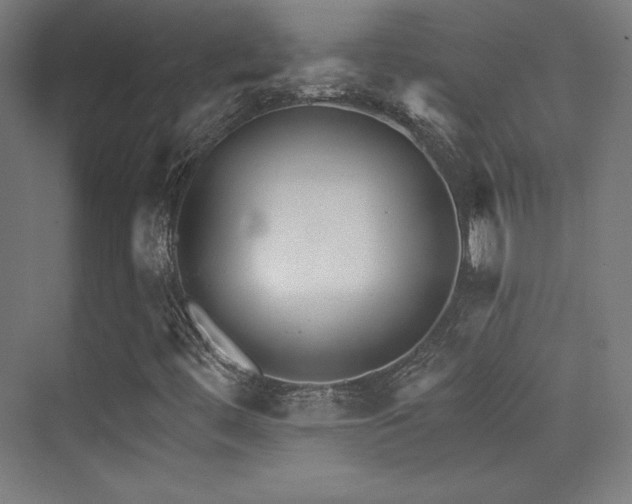 X0000070241444200606021118