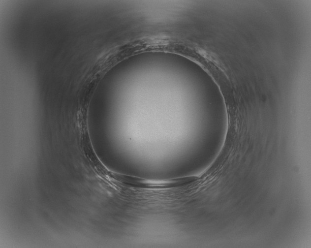 X0000070241445200606021118