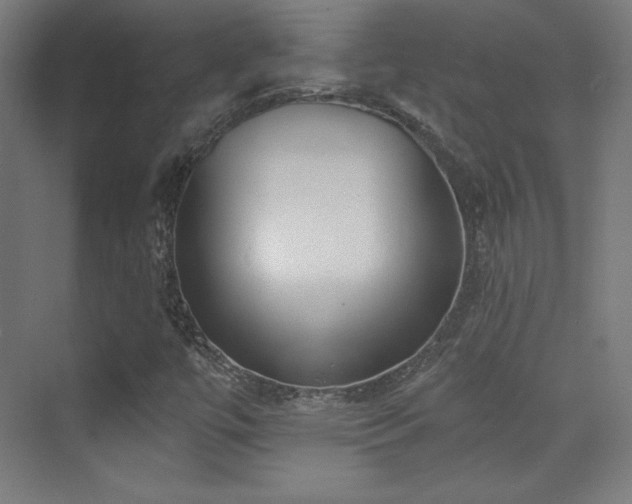 X0000070241447200606021118