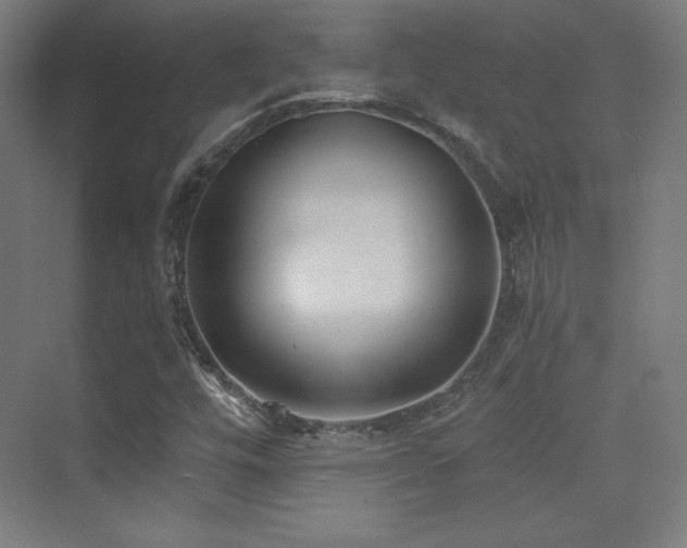 X0000070241448200606021118