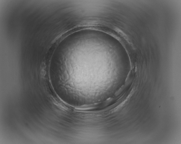 X0000070241449200606021118