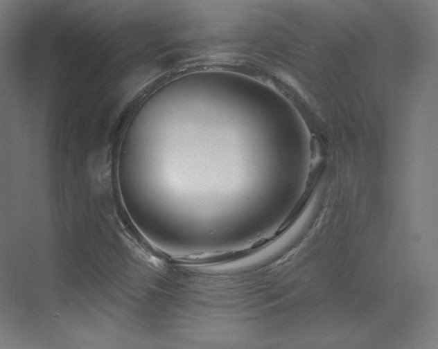 X0000070241450200606021118
