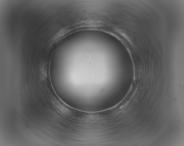 X0000070241451200606021117