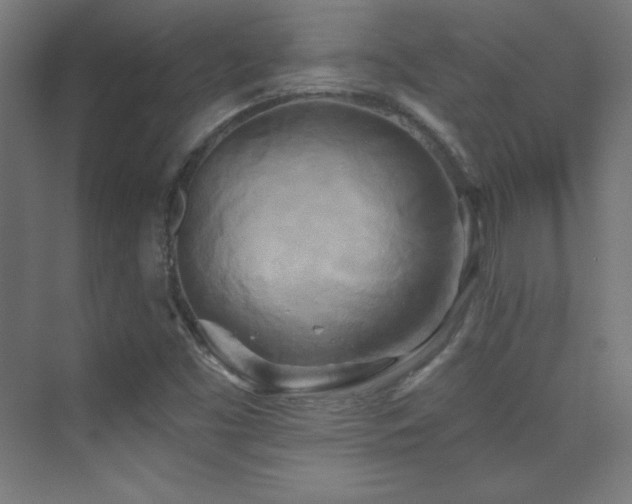 X0000070241453200606021117