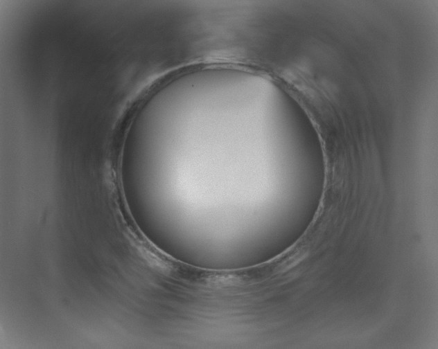 X0000070241454200606021117