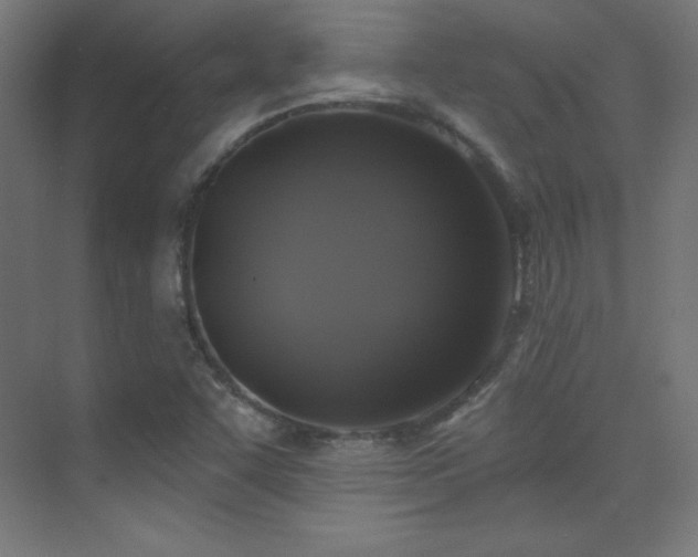 X0000070241455200606021117
