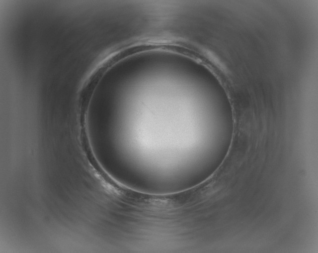 X0000070241456200606021117